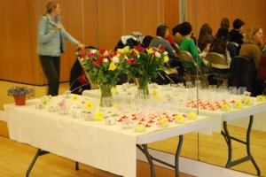 182236_146512412075086_3664731_n-1